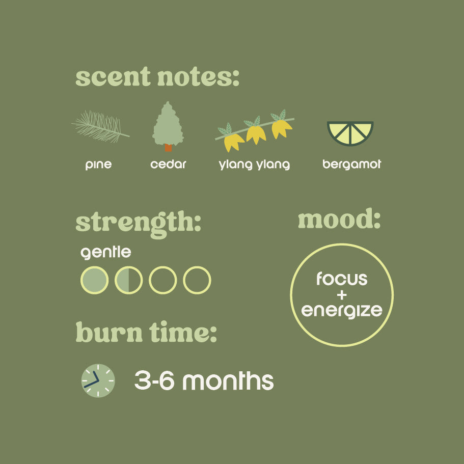 forest bathing reed diffuser