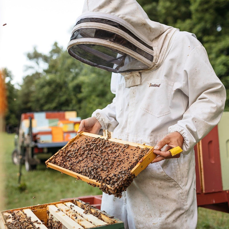 Raw Honey