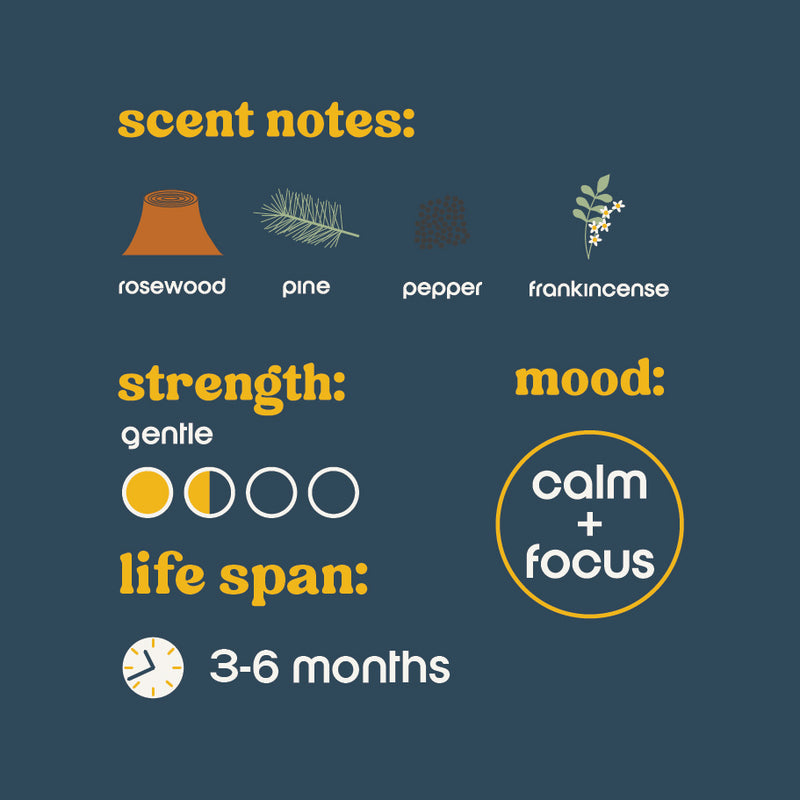 hibernation reed diffuser