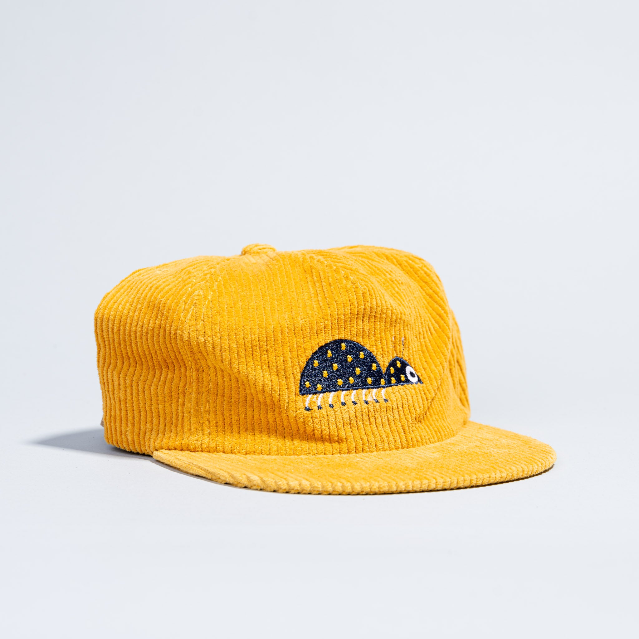 beetle bug hat